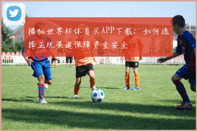 揭秘世界杯体育买APP下载：如何选择正规渠道保障资金安全