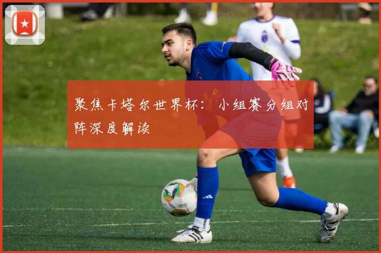 聚焦卡塔尔世界杯：小组赛分组对阵深度解读