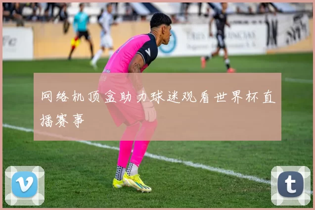 网络机顶盒助力球迷观看世界杯直播赛事