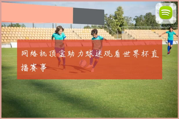 网络机顶盒助力球迷观看世界杯直播赛事