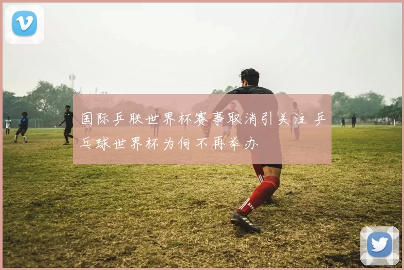 国际乒联世界杯赛事取消引关注 乒乓球世界杯为何不再举办
