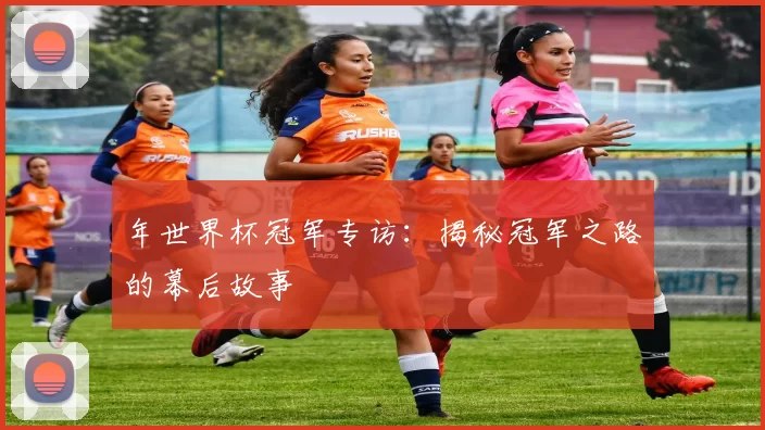 年世界杯冠军专访：揭秘冠军之路的幕后故事