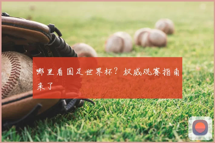 哪里看国足世界杯？权威观赛指南来了