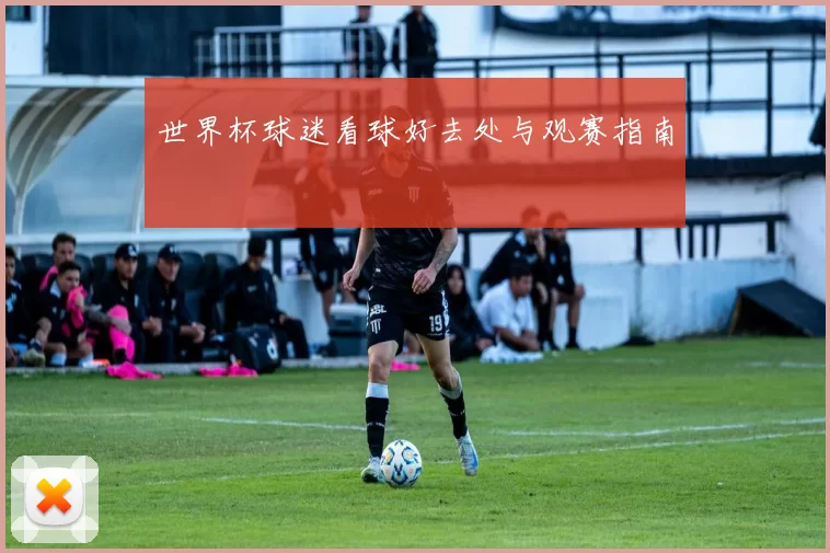世界杯球迷看球好去处与观赛指南