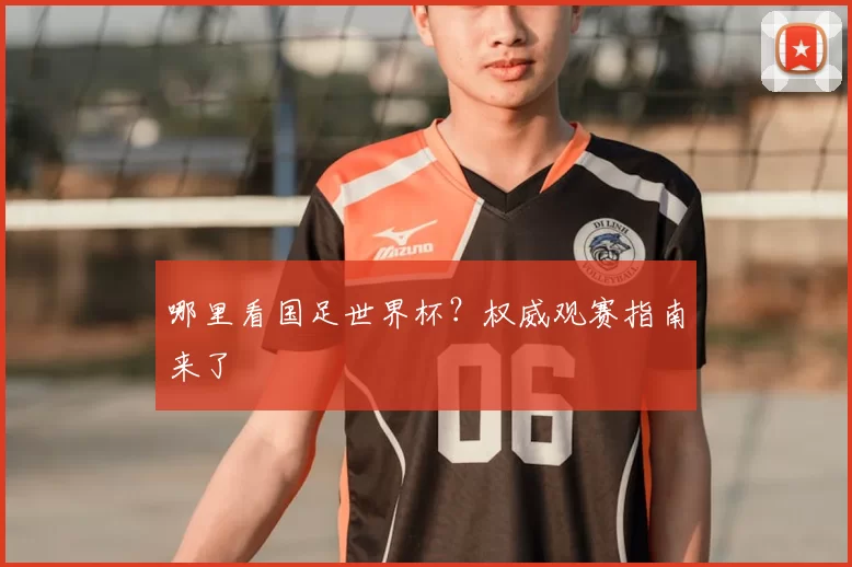哪里看国足世界杯?权威观赛指南来了