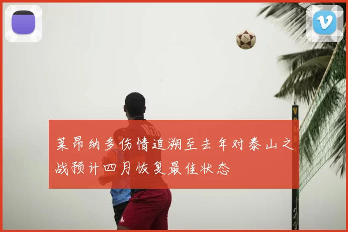 莱昂纳多伤情追溯至去年对泰山之战预计四月恢复最佳状态