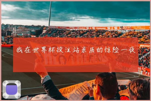 我在世界杯投注站亲历的惊险一夜
